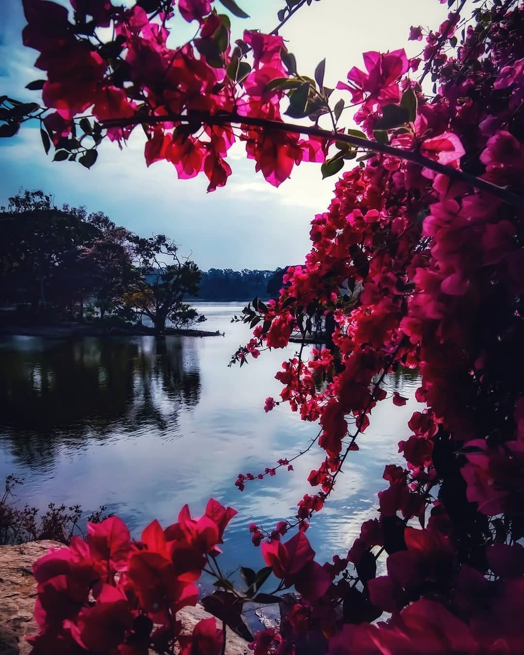 Lalbagh